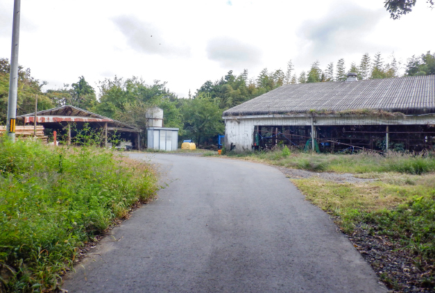角井杭木店様の道路舗装